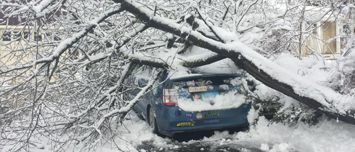 Read more about the article Winter Storm Damage and Your Home Insurance Coverage